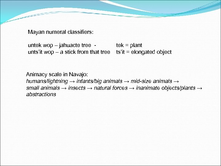 Mayan numeral classifiers: untek wop – jahuacte tree - unts’it wop – a stick