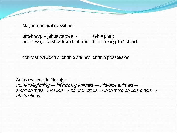 Mayan numeral classifiers: untek wop – jahuacte tree - unts’it wop – a stick