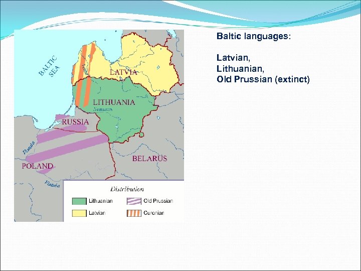 Baltic languages: Latvian, Lithuanian, Old Prussian (extinct) 