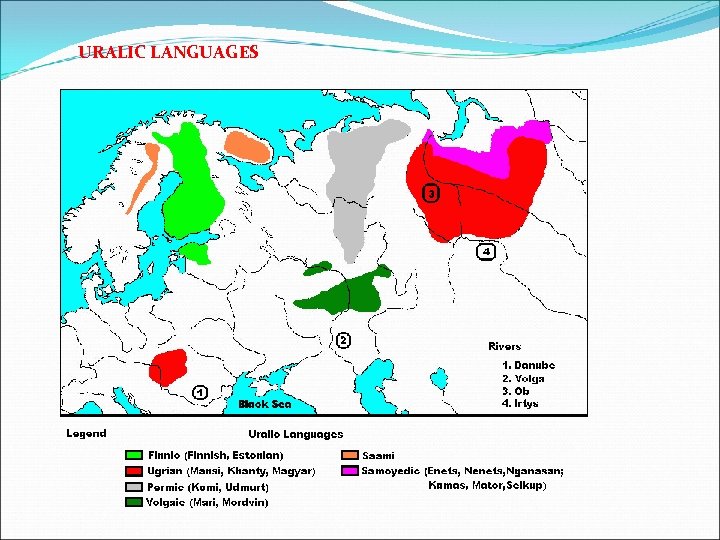 URALIC LANGUAGES 