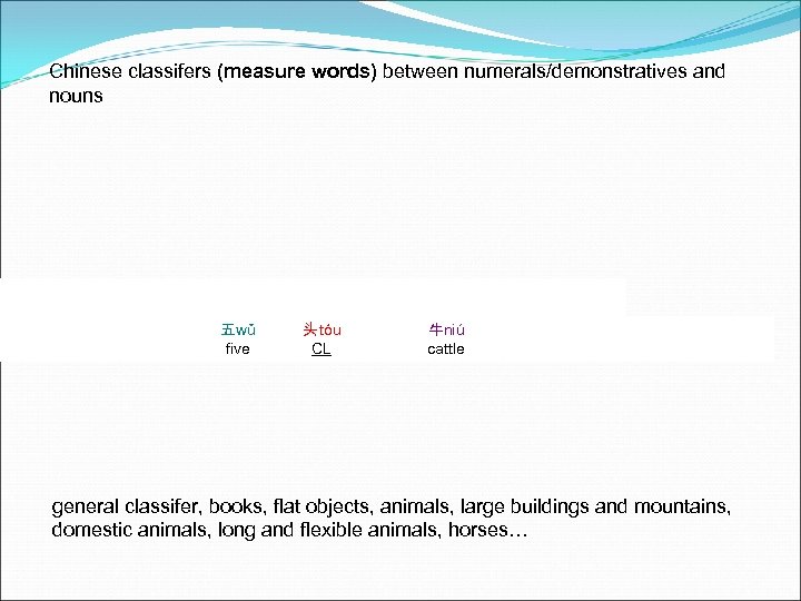 Chinese classifers (measure words) between numerals/demonstratives and nouns 五wǔ five 头 tóu CL 牛niú