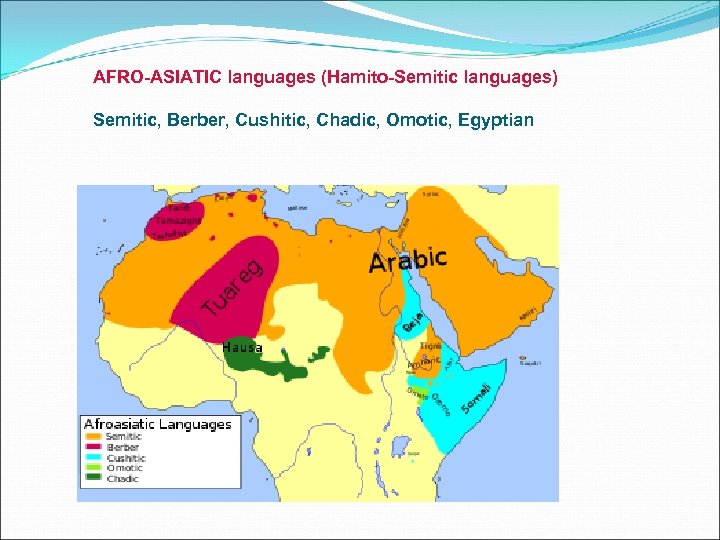 AFRO-ASIATIC languages (Hamito-Semitic languages) Semitic, Berber, Cushitic, Chadic, Omotic, Egyptian 