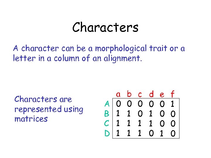 Characters A character can be a morphological trait or a letter in a column