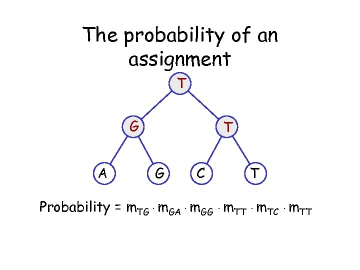 The probability of an assignment T G A T G C T Probability =