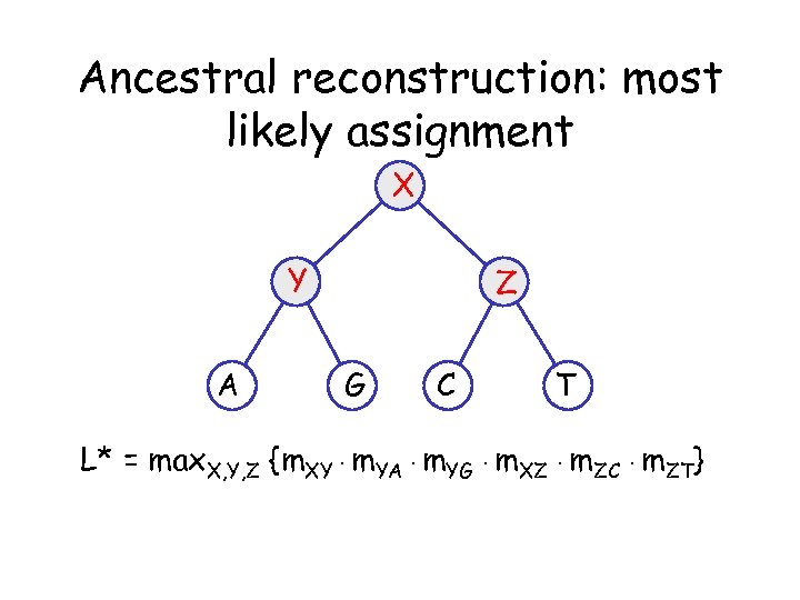 Ancestral reconstruction: most likely assignment X Y A Z G C T L* =