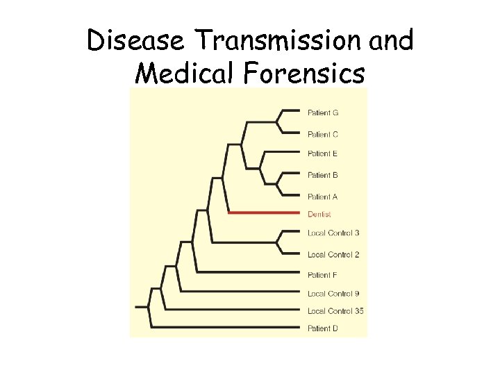 Disease Transmission and Medical Forensics 