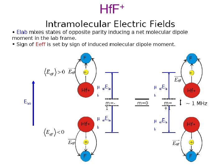 Hf. F+ 