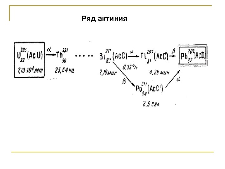 Ряд актиния 