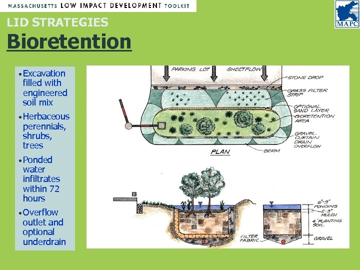 LID STRATEGIES Bioretention • Excavation filled with engineered soil mix • Herbaceous perennials, shrubs,