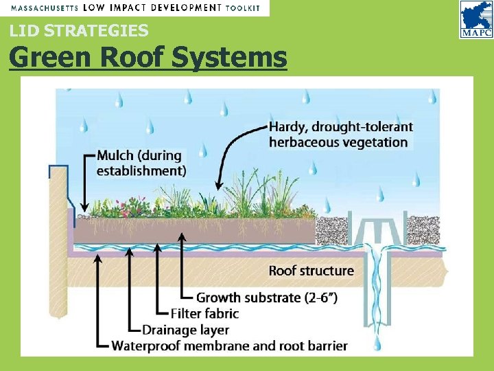 LID STRATEGIES Green Roof Systems 