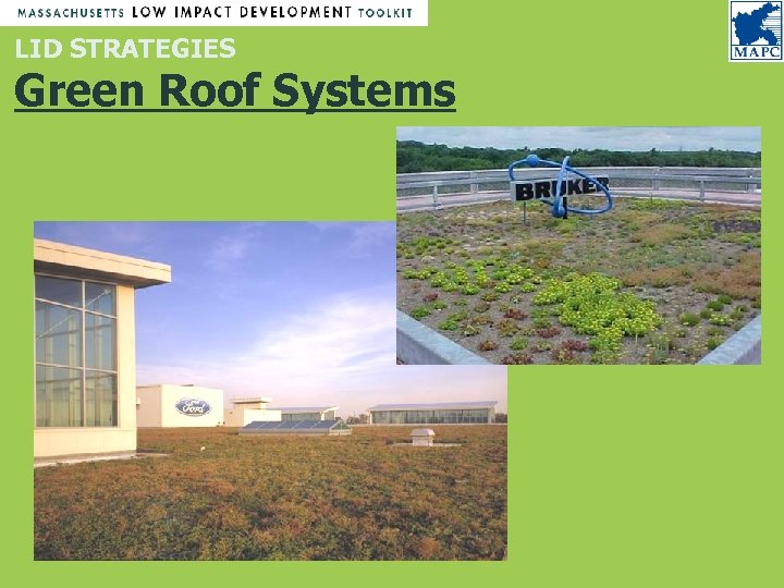 LID STRATEGIES Green Roof Systems 