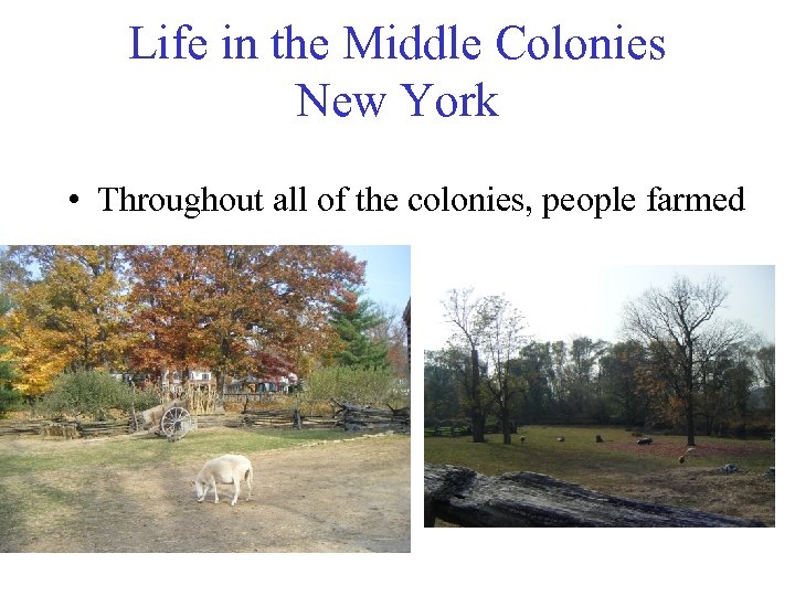 Life in the Middle Colonies New York • Throughout all of the colonies, people
