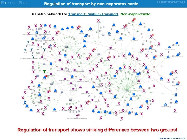 Regulation of transport by non-nephrotoxicants CONFIDENTIAL Gene. Go network for Transport_Sodium transport. Non-nephrotoxic Regulation