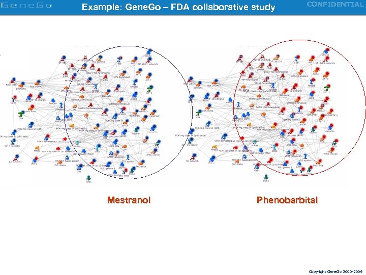 Example: Gene. Go – FDA collaborative study Mestranol CONFIDENTIAL Phenobarbital Copyright Gene. Go 2000
