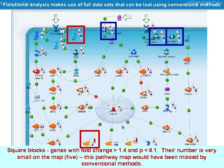 CONFIDENTIAL Functional analysis makes use of full data sets that can be lost using