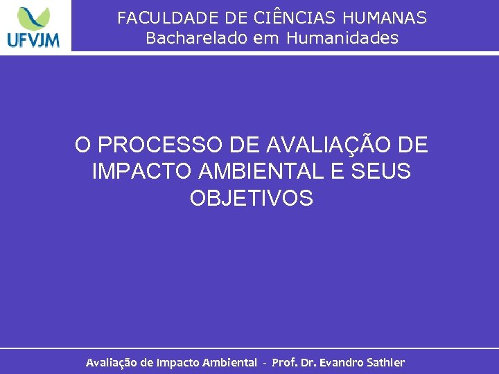 FACULDADE DE CIÊNCIAS HUMANAS Bacharelado em Humanidades O PROCESSO DE AVALIAÇÃO DE IMPACTO AMBIENTAL