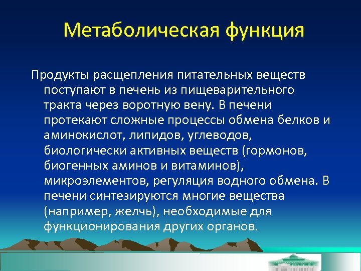 Метаболическая функция Продукты расщепления питательных веществ поступают в печень из пищеварительного тракта через воротную