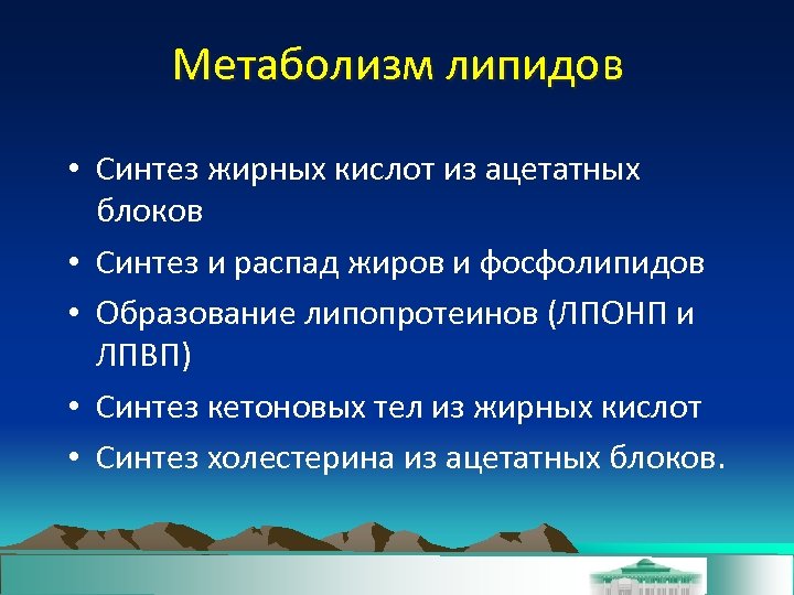 Метаболизм липидов • Синтез жирных кислот из ацетатных блоков • Синтез и распад жиров