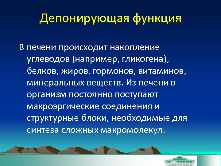 Депонирующая функция В печени происходит накопление углеводов (например, гликогена), белков, жиров, гормонов, витаминов, минеральных