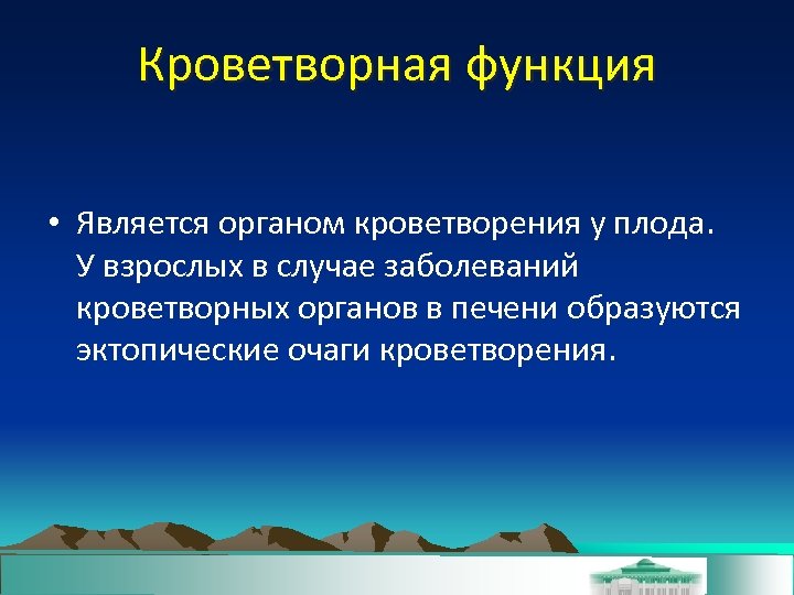 Кроветворная функция • Является органом кроветворения у плода. У взрослых в случае заболеваний кроветворных