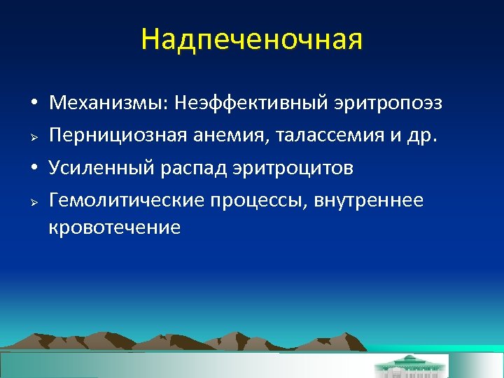 Надпеченочная • Механизмы: Неэффективный эритропоэз Пернициозная анемия, талассемия и др. • Усиленный распад эритроцитов