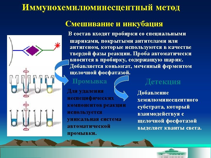 Иммунохемилюминесцентный метод Смешивание и инкубация В состав входят пробирки со специальными шариками, покрытыми антителами