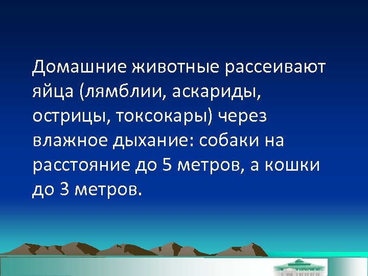 Домашние животные рассеивают яйца (лямблии, аскариды, острицы, токсокары) через влажное дыхание: собаки на расстояние