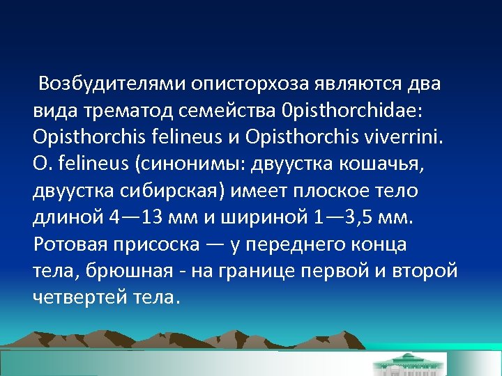  Возбудителями описторхоза являются два вида трематод семейства 0 pisthorchidae: Opisthorchis felineus и Opisthorchis