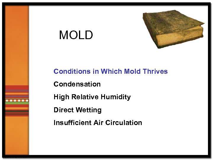 MOLD Conditions in Which Mold Thrives Condensation High Relative Humidity Direct Wetting Insufficient Air