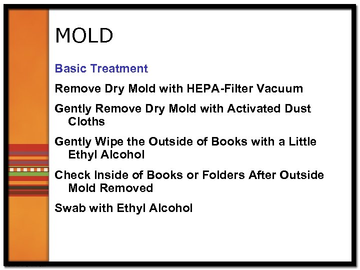 MOLD Basic Treatment Remove Dry Mold with HEPA-Filter Vacuum Gently Remove Dry Mold with