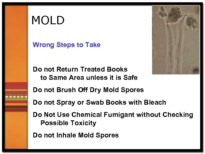 MOLD Wrong Steps to Take Do not Return Treated Books to Same Area unless