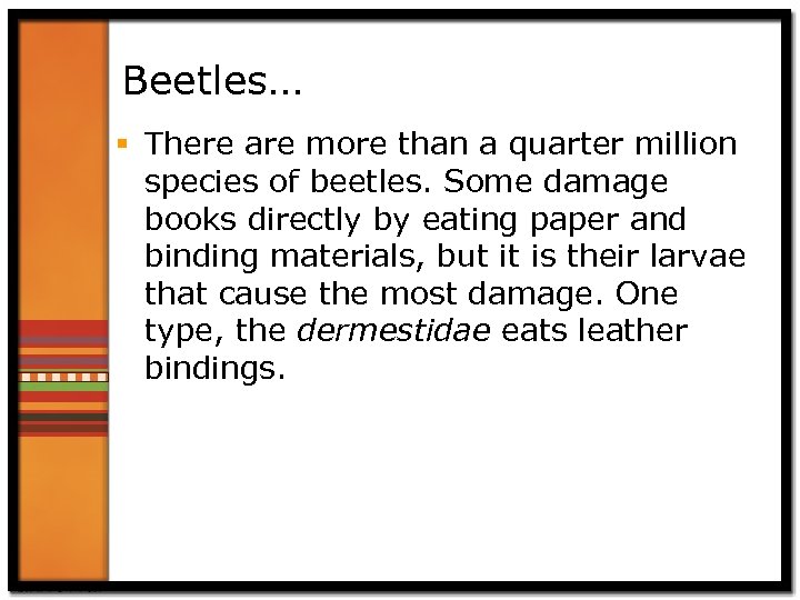 Beetles… § There are more than a quarter million species of beetles. Some damage