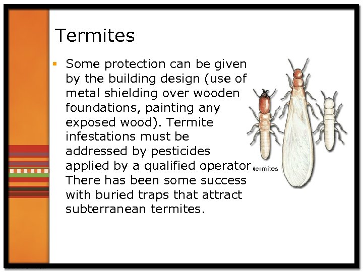 Termites § Some protection can be given by the building design (use of metal