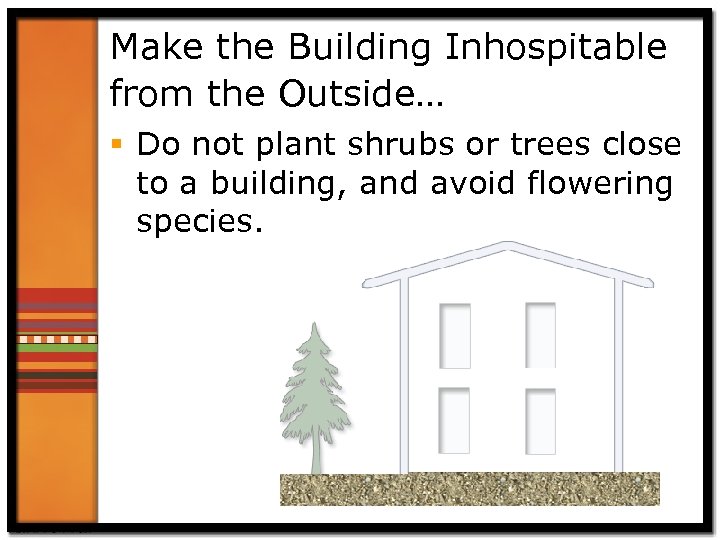 Make the Building Inhospitable from the Outside… § Do not plant shrubs or trees