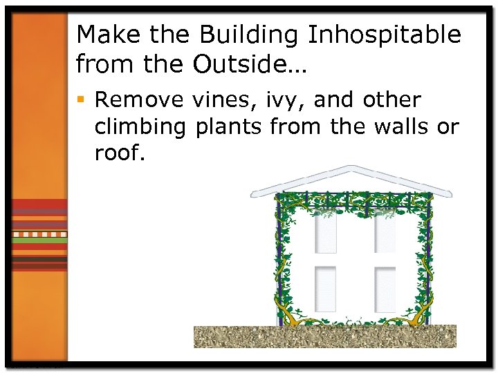 Make the Building Inhospitable from the Outside… § Remove vines, ivy, and other climbing