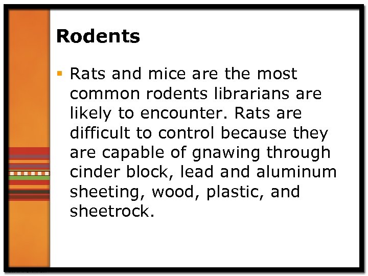 Rodents § Rats and mice are the most common rodents librarians are likely to