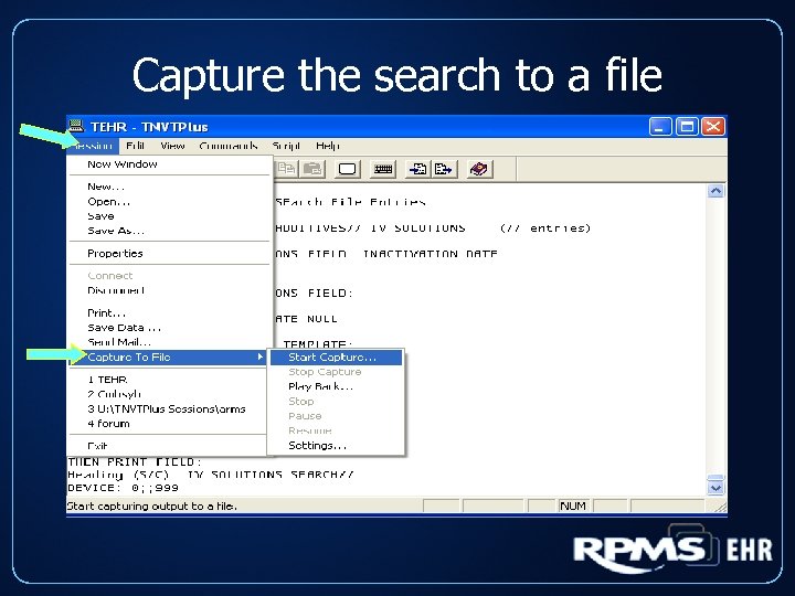 Capture the search to a file 