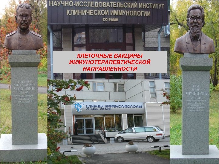 КЛЕТОЧНЫЕ ВАКЦИНЫ ИММУНОТЕРАПЕВТИЧЕСКОЙ НАПРАВЛЕННОСТИ 