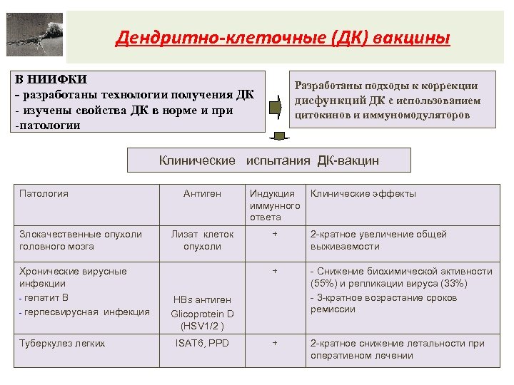Дендритно-клеточные (ДК) вакцины В НИИФКИ - разработаны технологии получения ДК - изучены свойства ДК