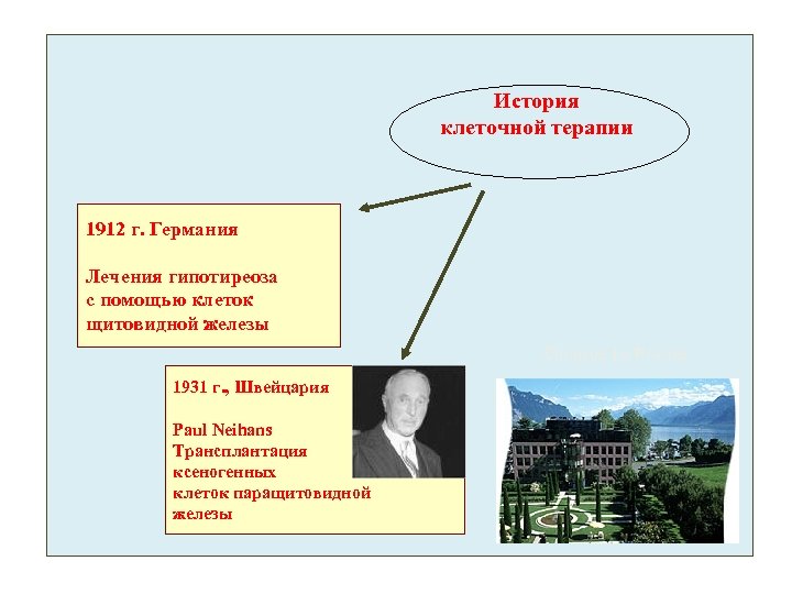 История клеточной терапии 1912 г. Германия Лечения гипотиреоза с помощью клеток щитовидной железы Clinique