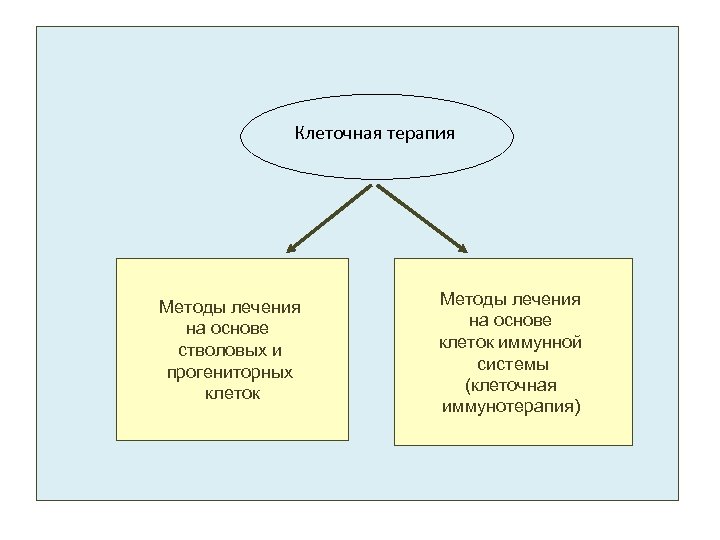 Клеточная терапия Методы лечения на основе стволовых и прогениторных клеток Методы лечения на основе