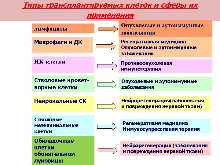 Типы трансплантируемых клеток и сферы их применения лимфоциты Опухолевые и аутоиммунные заболевания Макрофаги и
