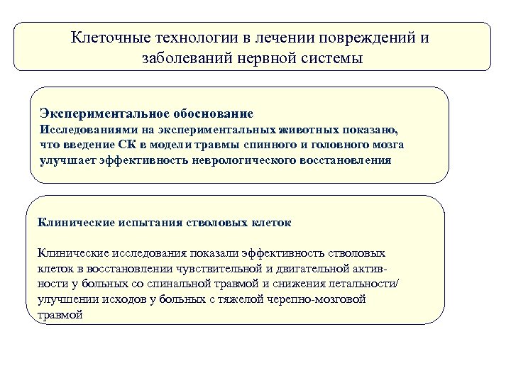 Клеточные технологии в лечении повреждений и заболеваний нервной системы Экспериментальное обоснование Исследованиями на экспериментальных