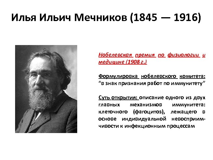 Мечников нобелевская премия. Илья Ильич Мечников (1908 – медицина). Илья Ильич Мечников 1908 медицина Нобелевская премия. Илья Мечников лауреат Нобелевской премии. Мечникова Ильи Ильича про Нобелевскую премию.