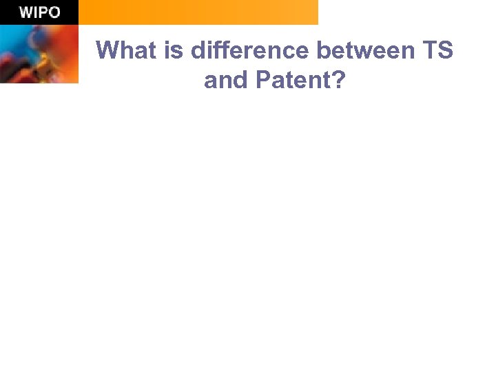 What is difference between TS and Patent? 