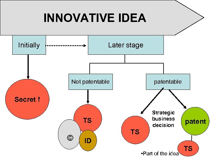 INNOVATIVE IDEA Initially Later stage Not patentable Secret ! TS © TS Strategic business