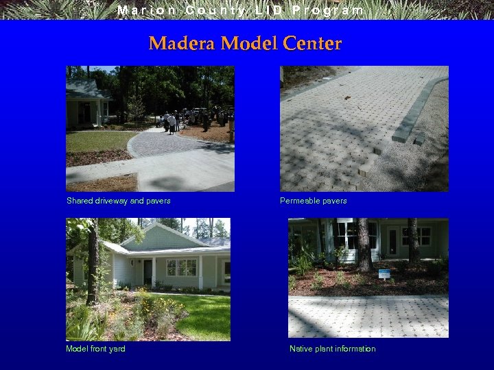 Marion County LID Program Madera Model Center Shared driveway and pavers Model front yard