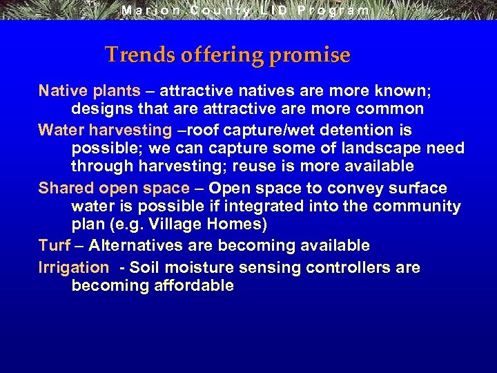 Marion County LID Program Trends offering promise Native plants – attractive natives are more