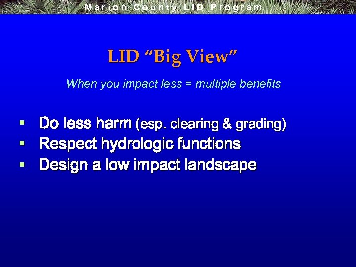 Marion County LID Program LID “Big View” When you impact less = multiple benefits