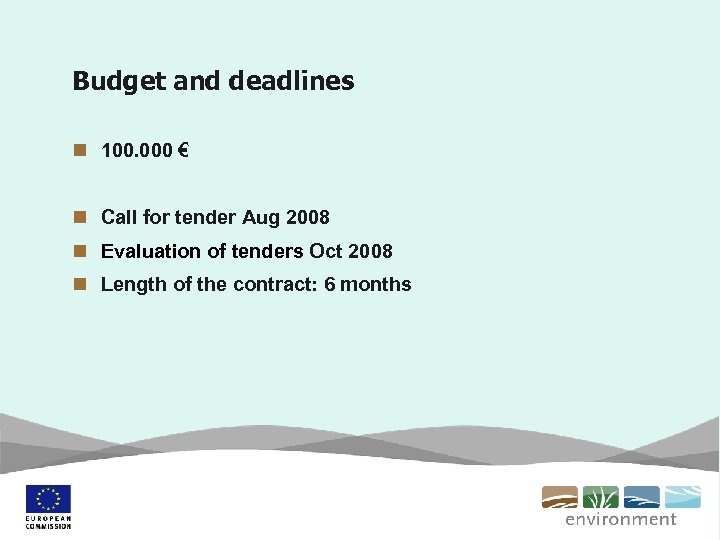 Budget and deadlines n 100. 000 € n Call for tender Aug 2008 n